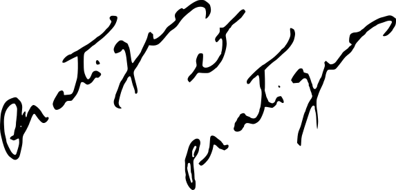 Pratiques et pratiques logo